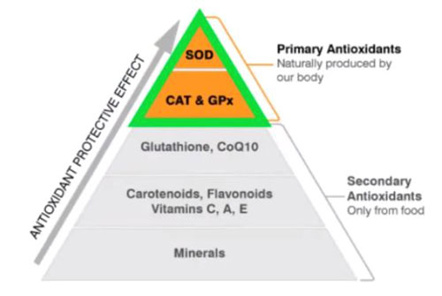 ozonoterapia_piramide